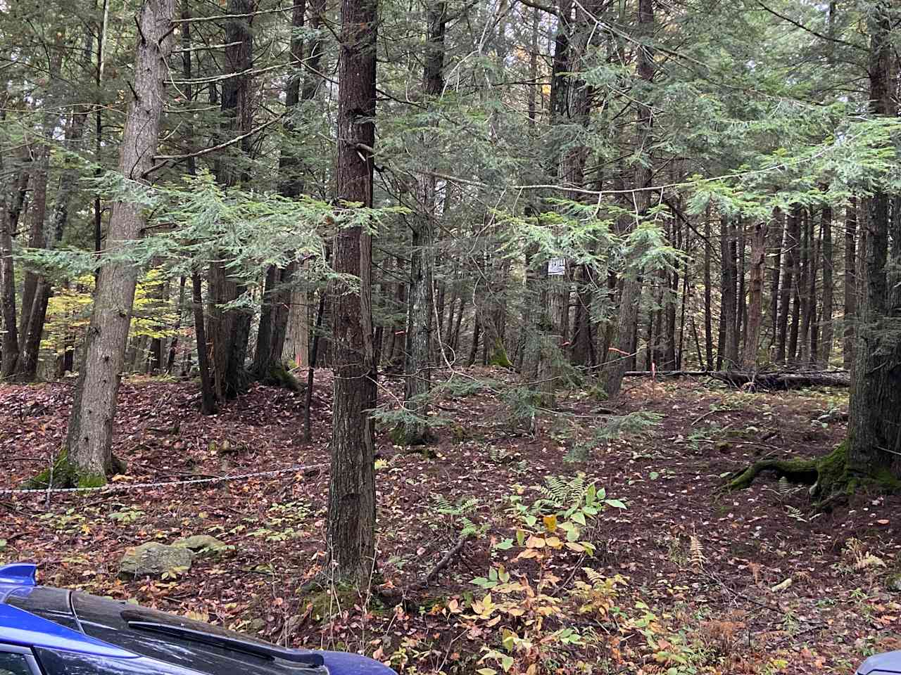 Forest Retreat w/Lake Access