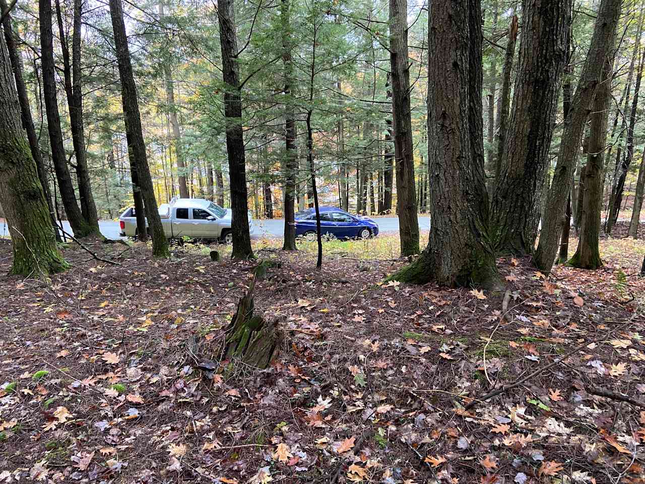 Forest Retreat w/Lake Access