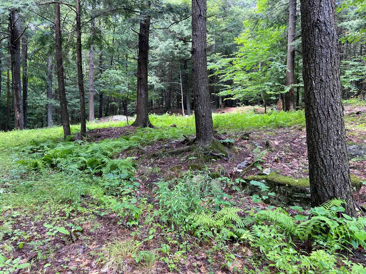 Forest Retreat w/Lake Access