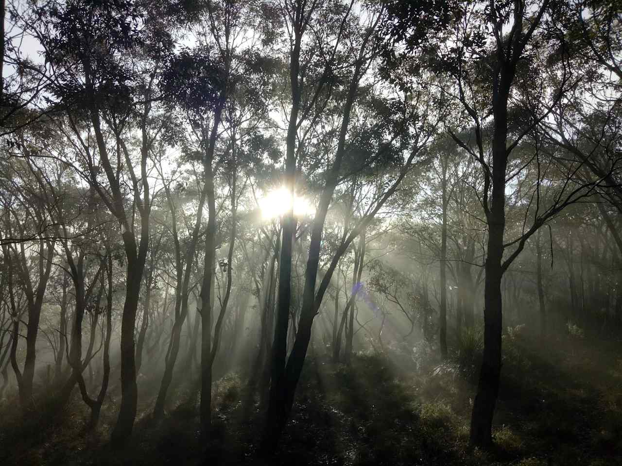 Macedon Ranges Glamping