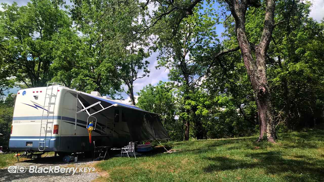 RV site on a Black Walnut Farm