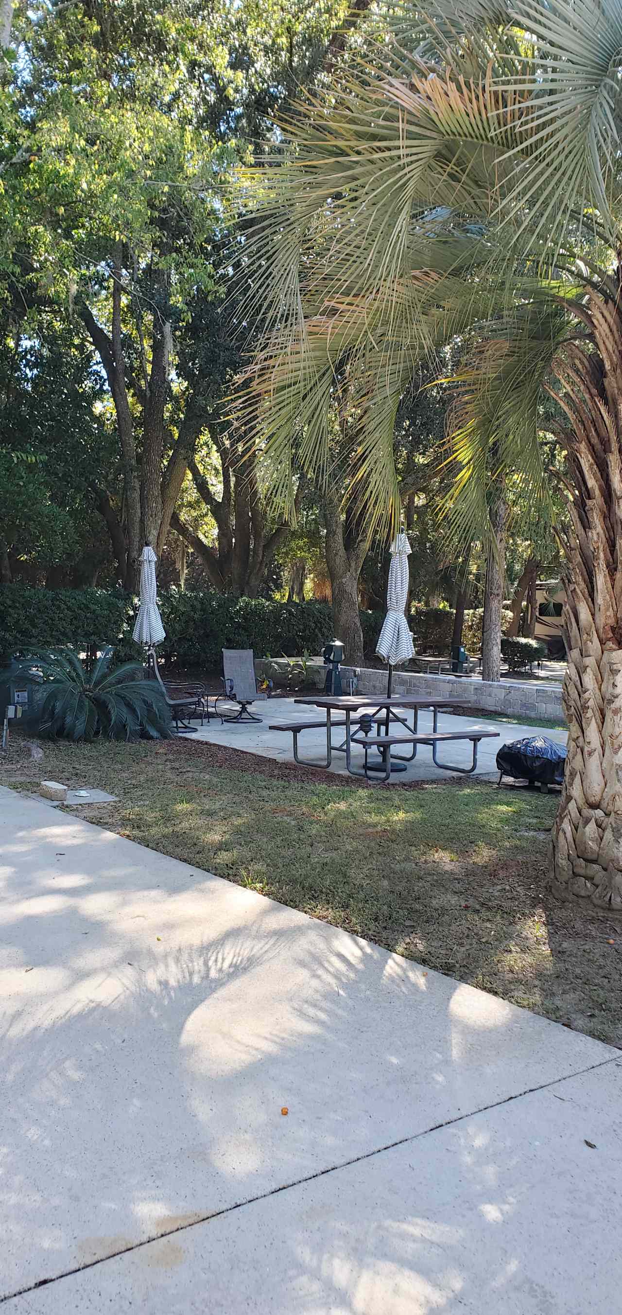 Hilton Head RV Site