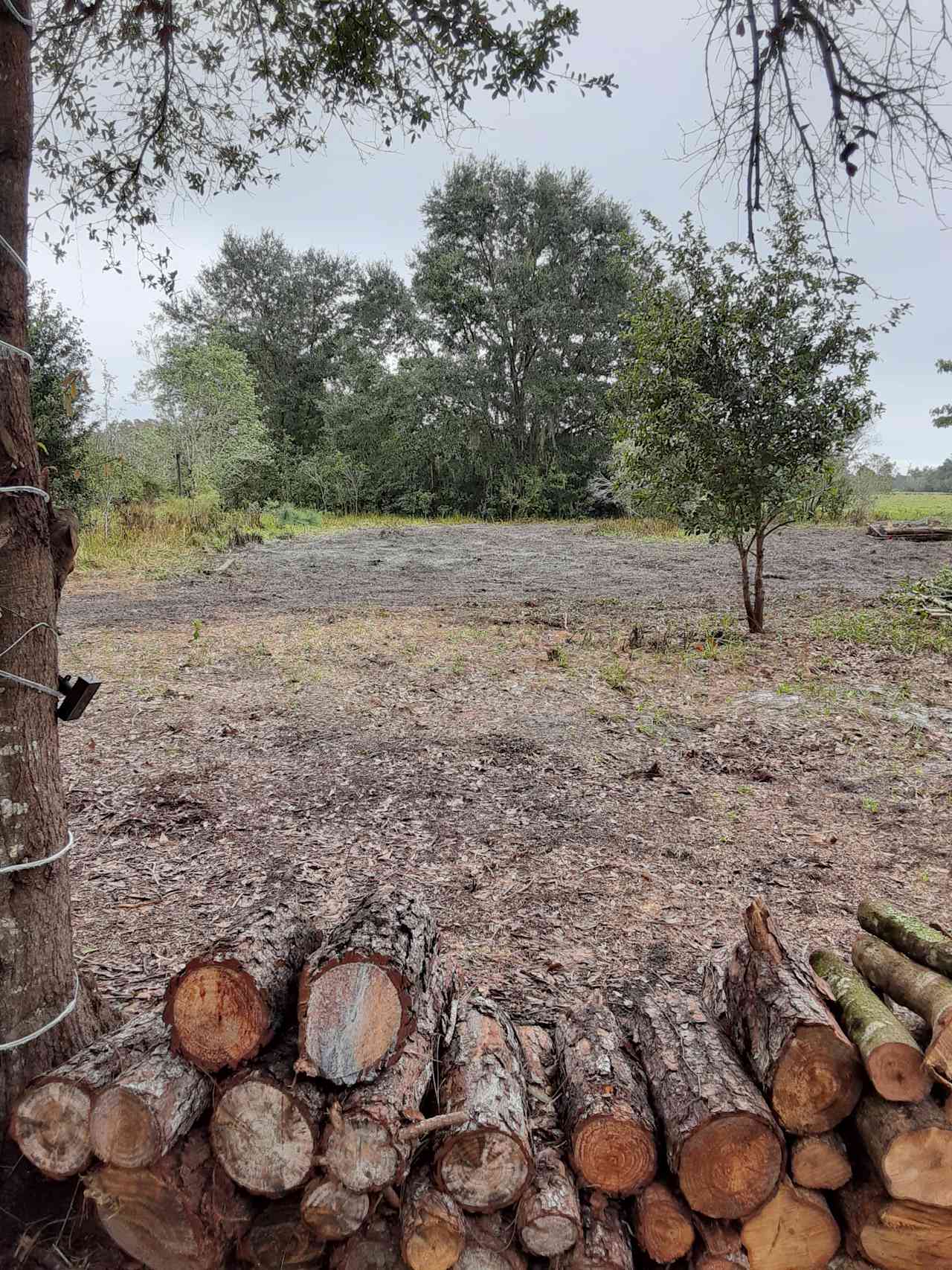 Camp Hide Away