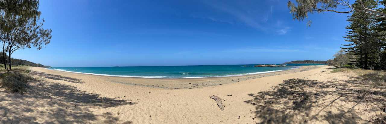 Bush by the Sea