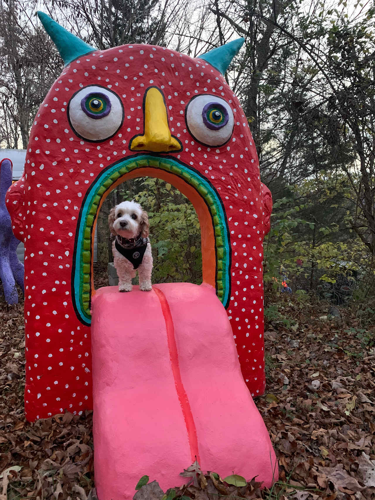 Creature Camp