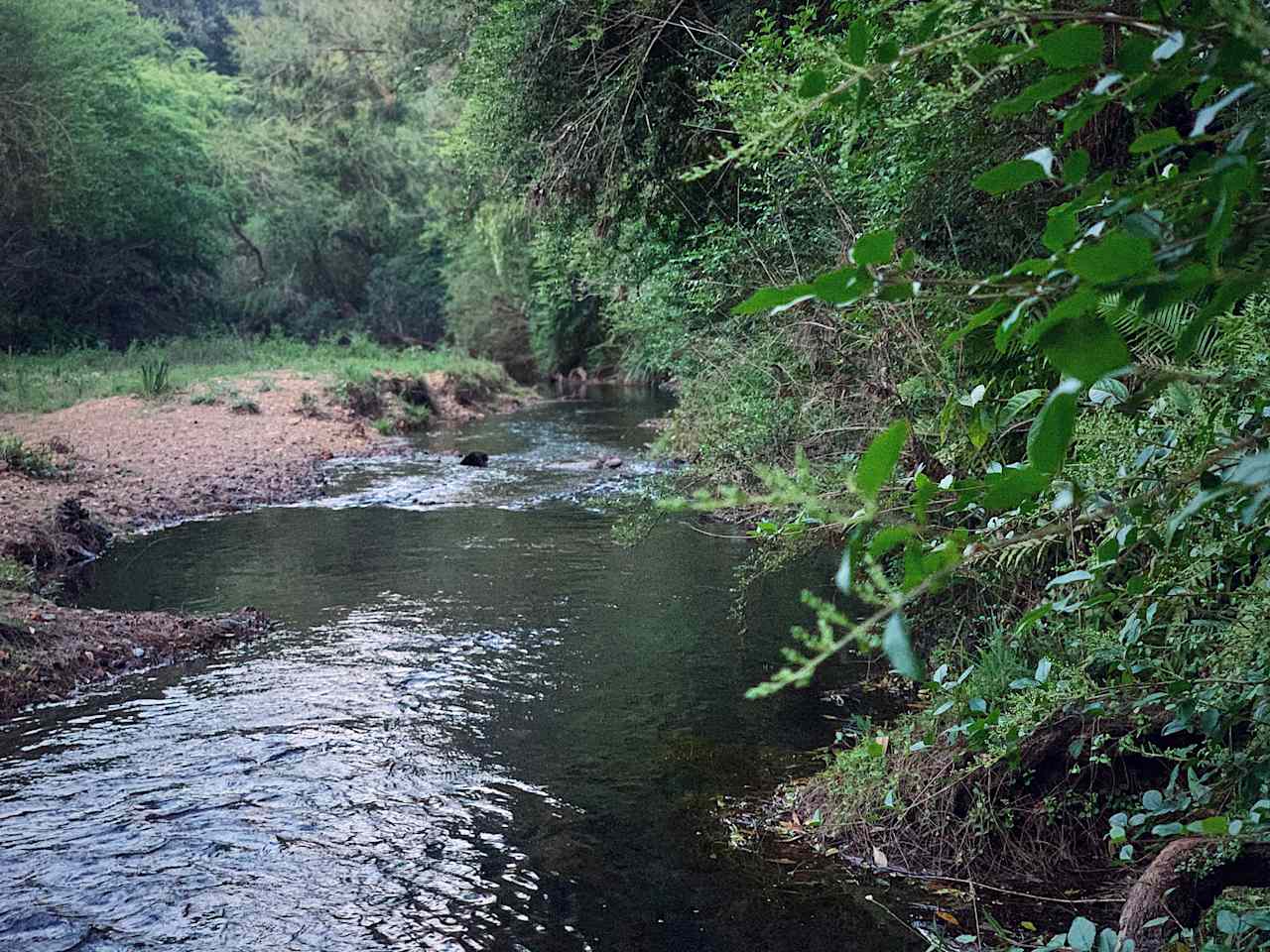 Kalang river