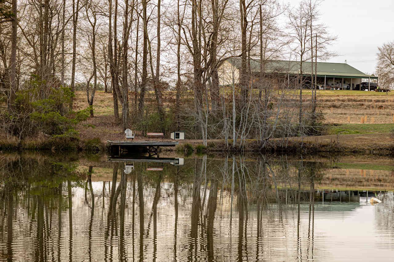 Legacy Acres Cattle Farm