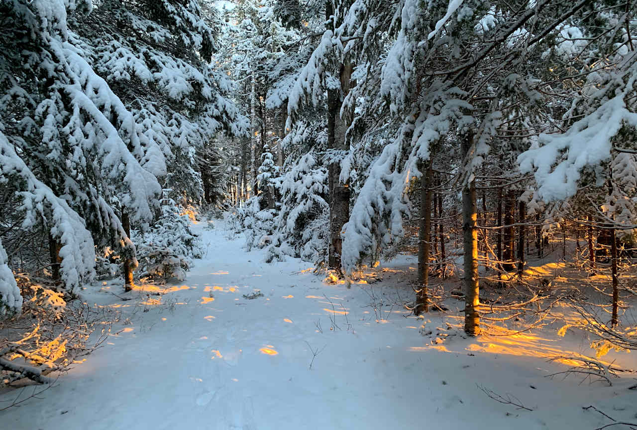 Winter Fire!