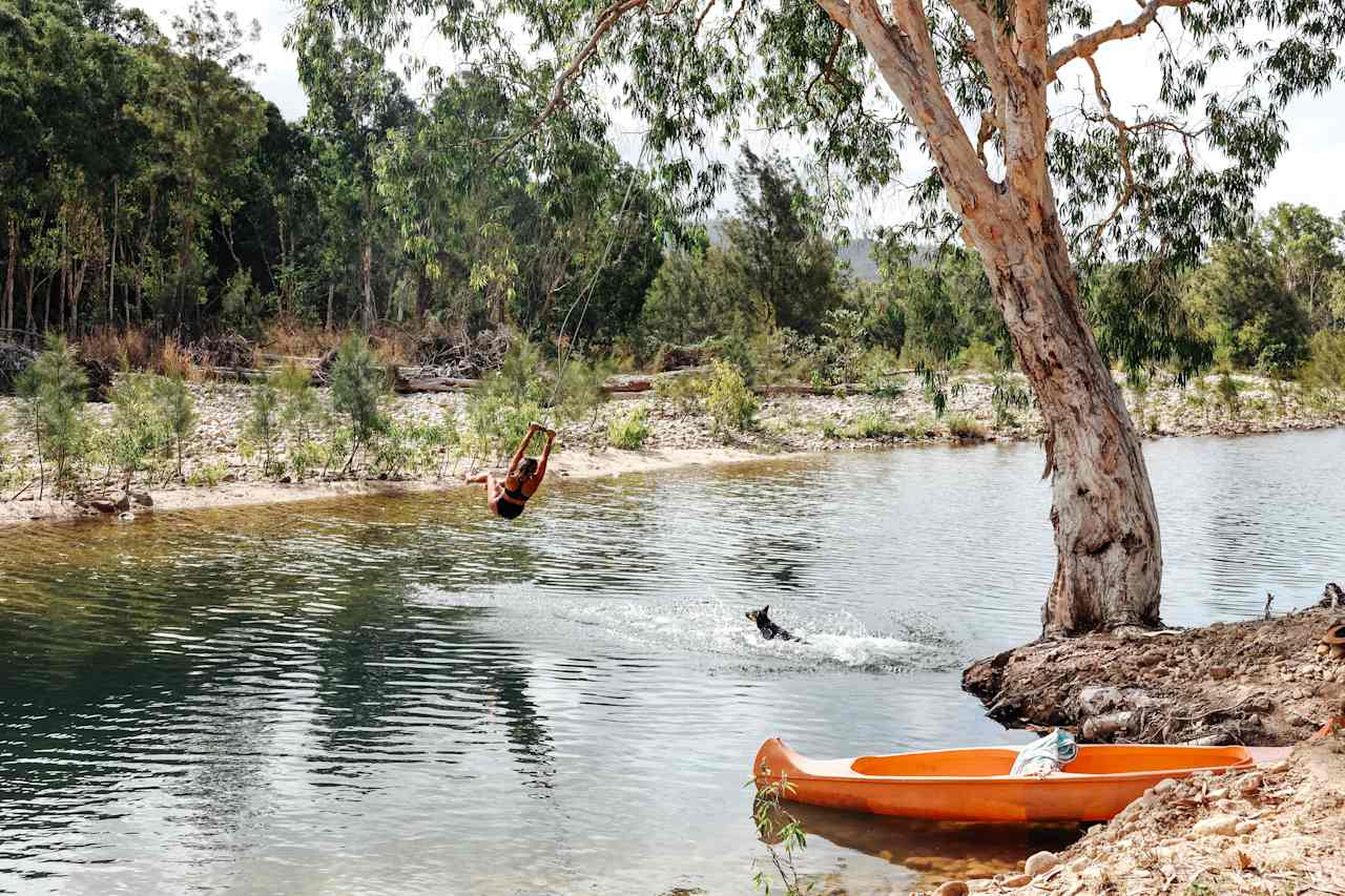 Tree Swing