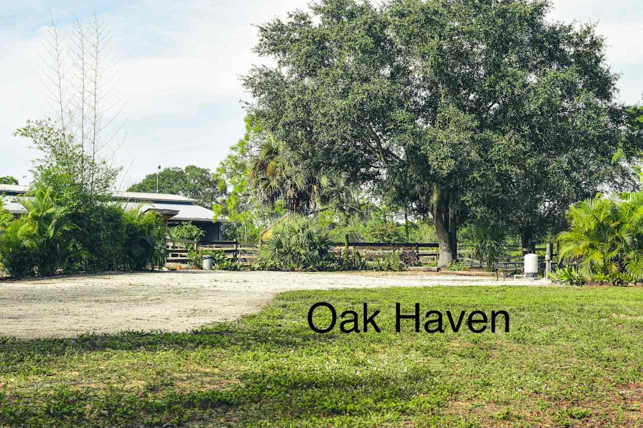 Eye level view looking at the Oak Haven site