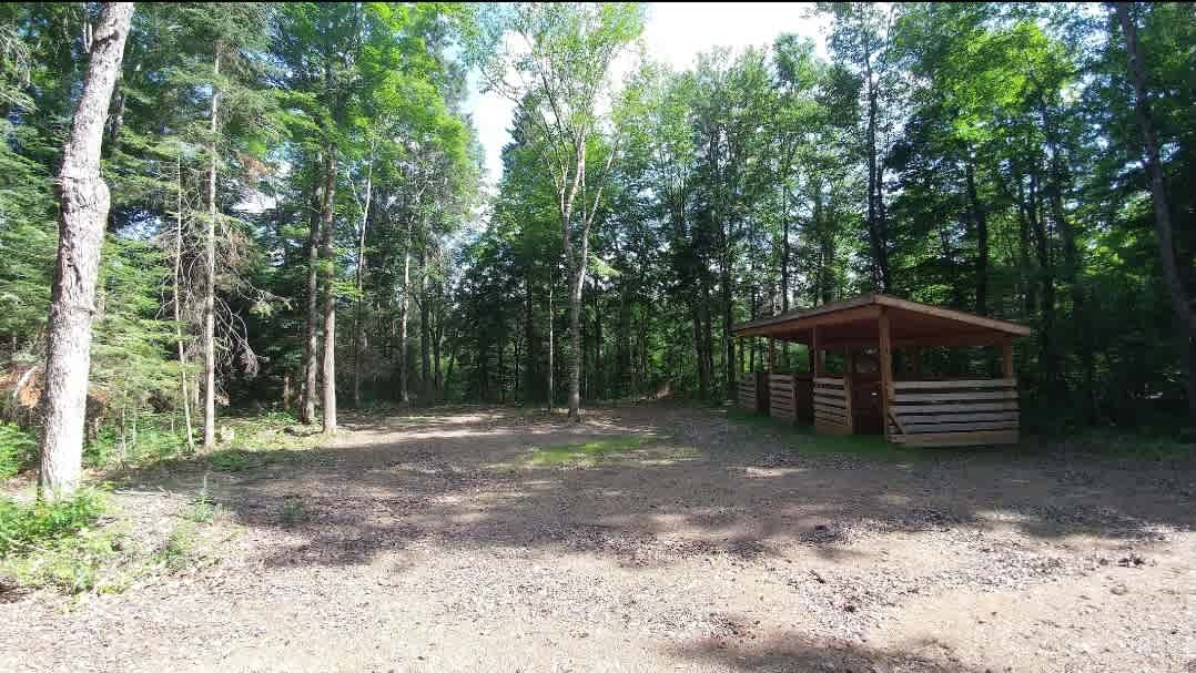 Kingscote Campsites - Algonquin