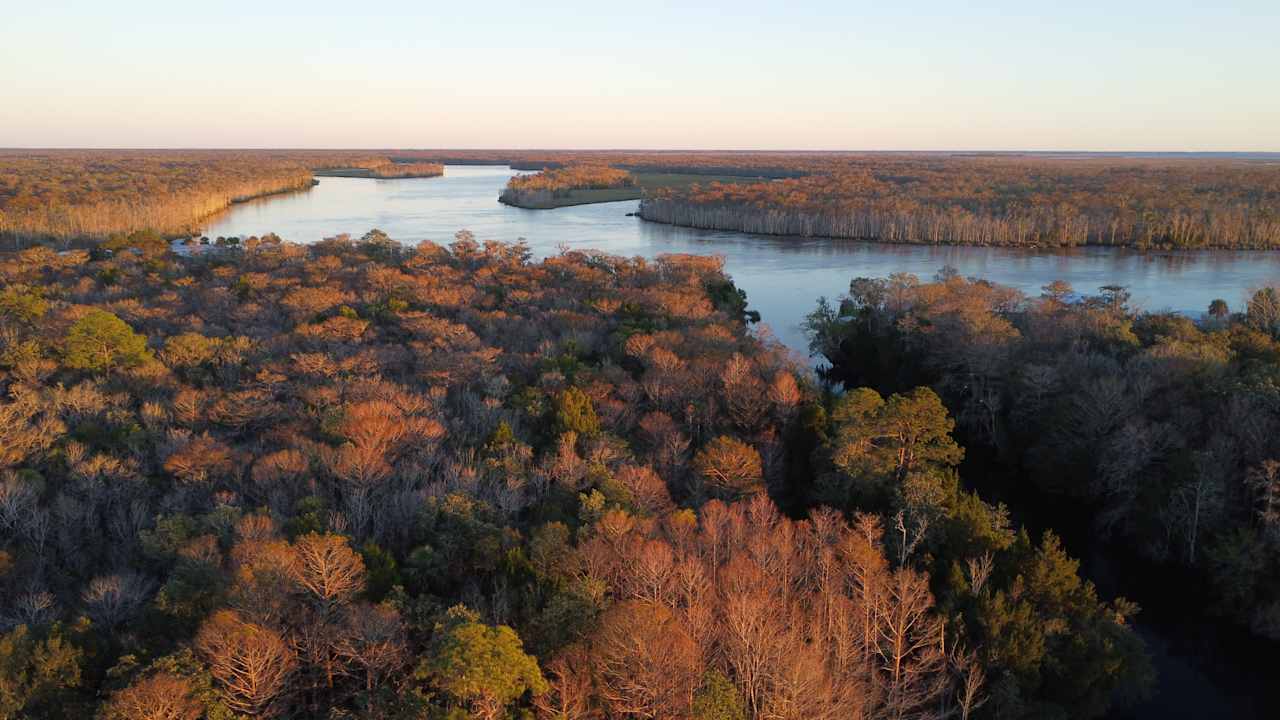 Suwanee River From Above