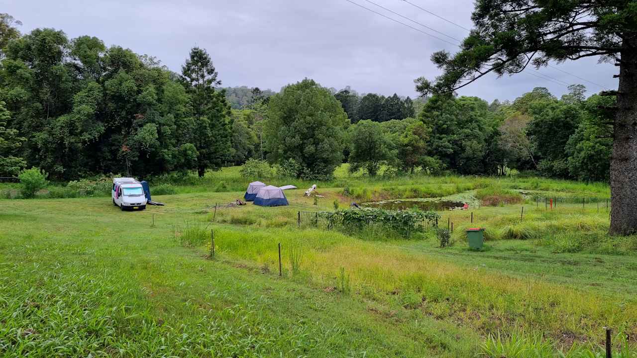 Coffee Camp Organic Farm