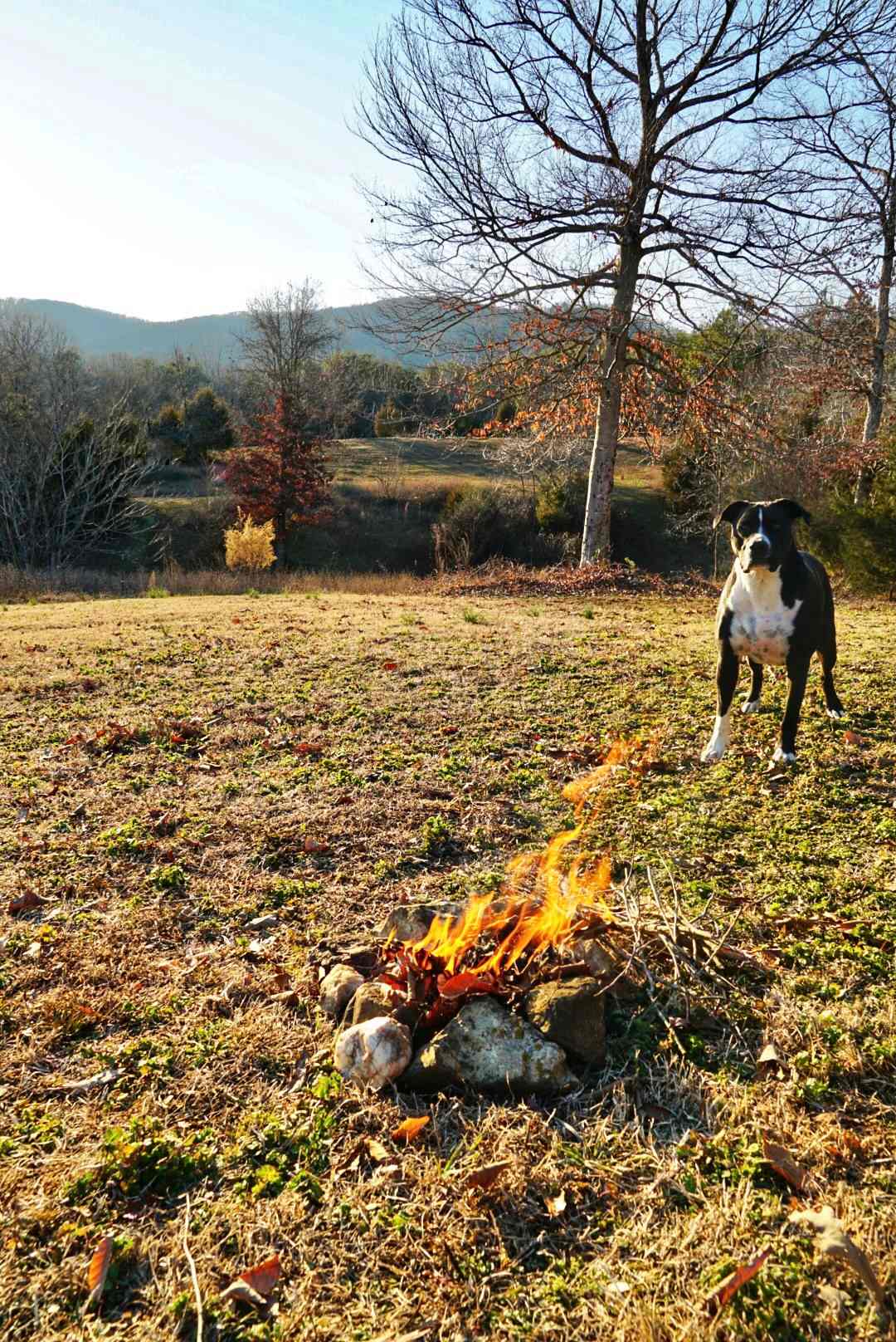 Campsite fire pit with a view