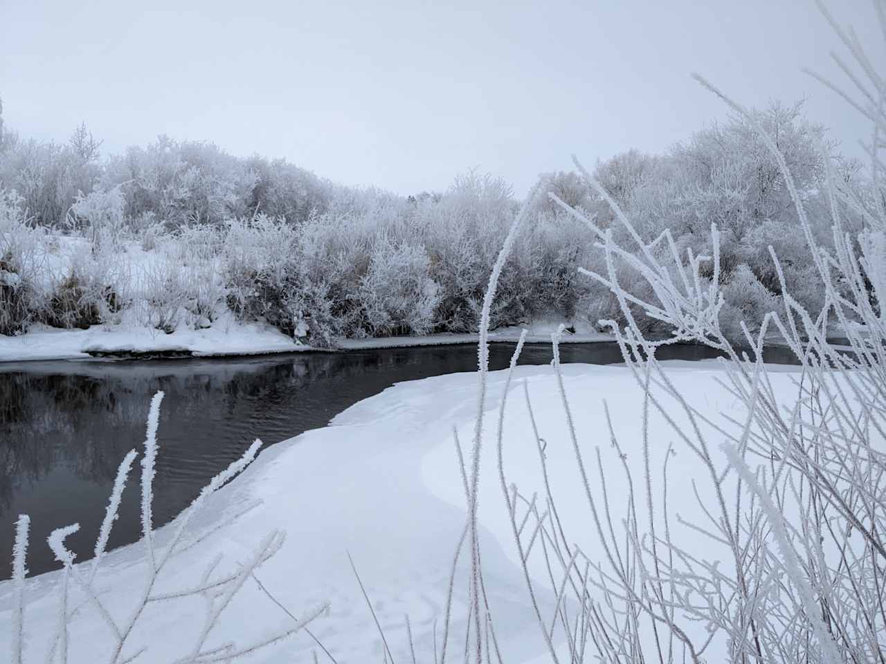 Winter Wonderland
