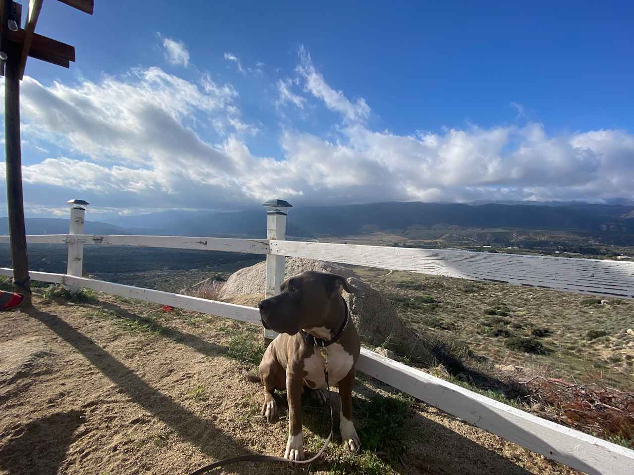 The views