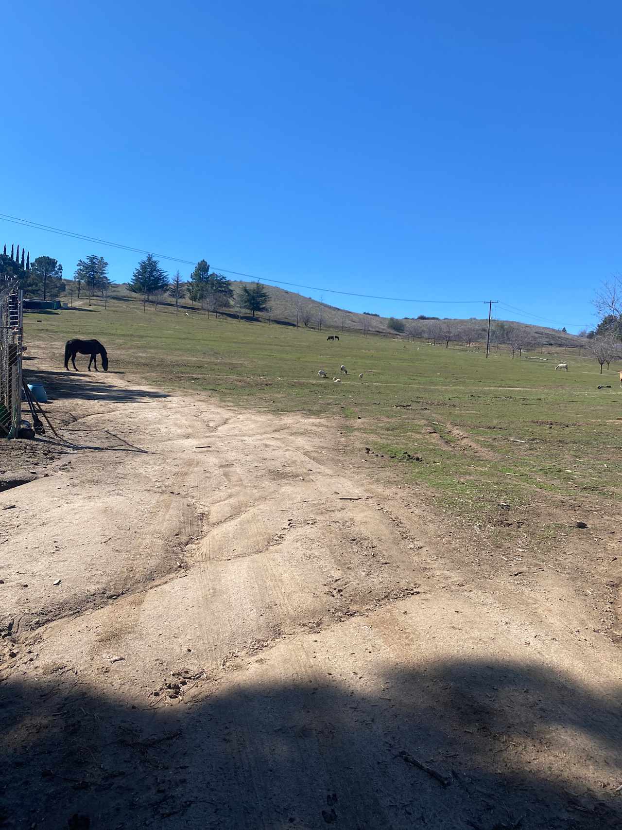 Mountain View Sanctuary & Retreat