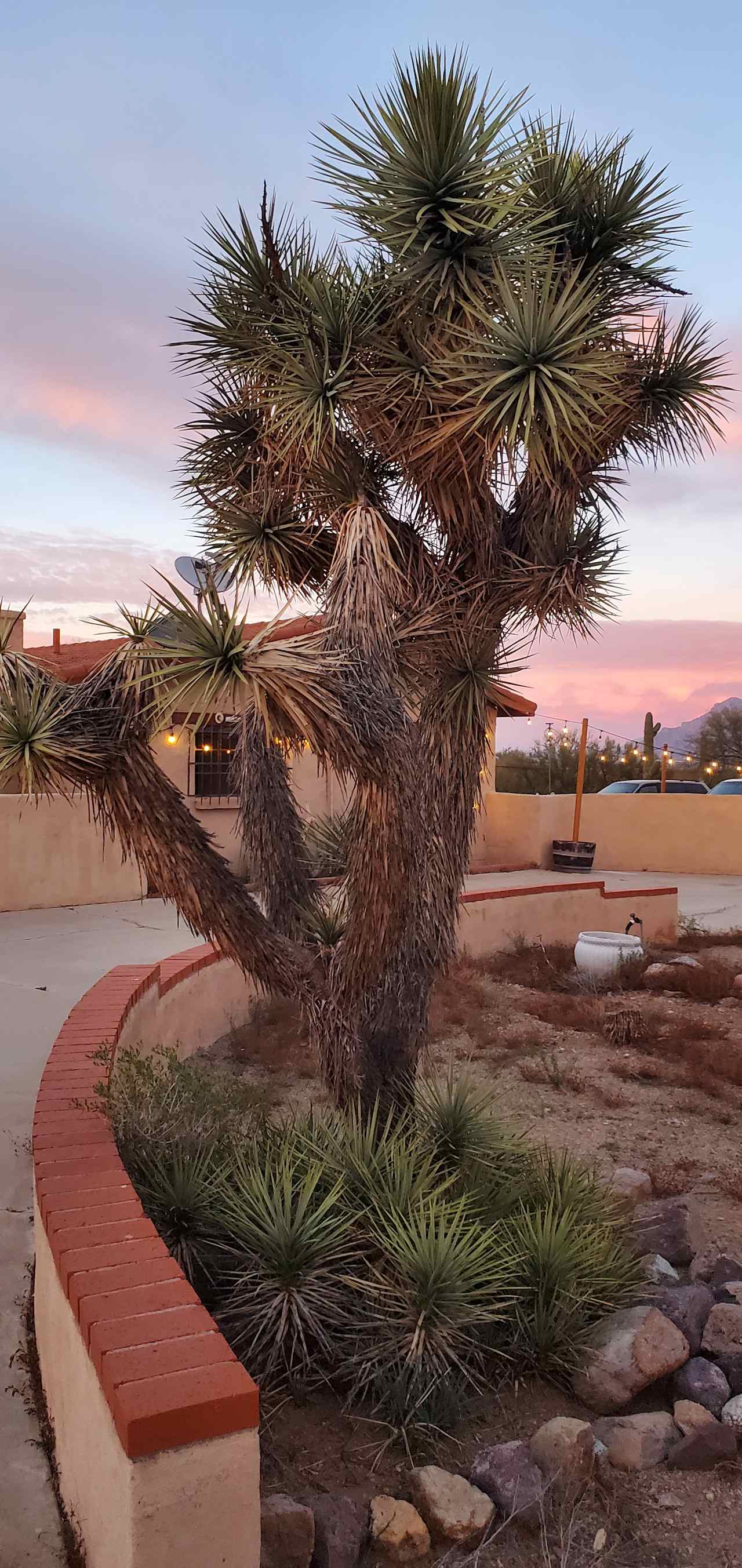 Sonoran Desert Retreat