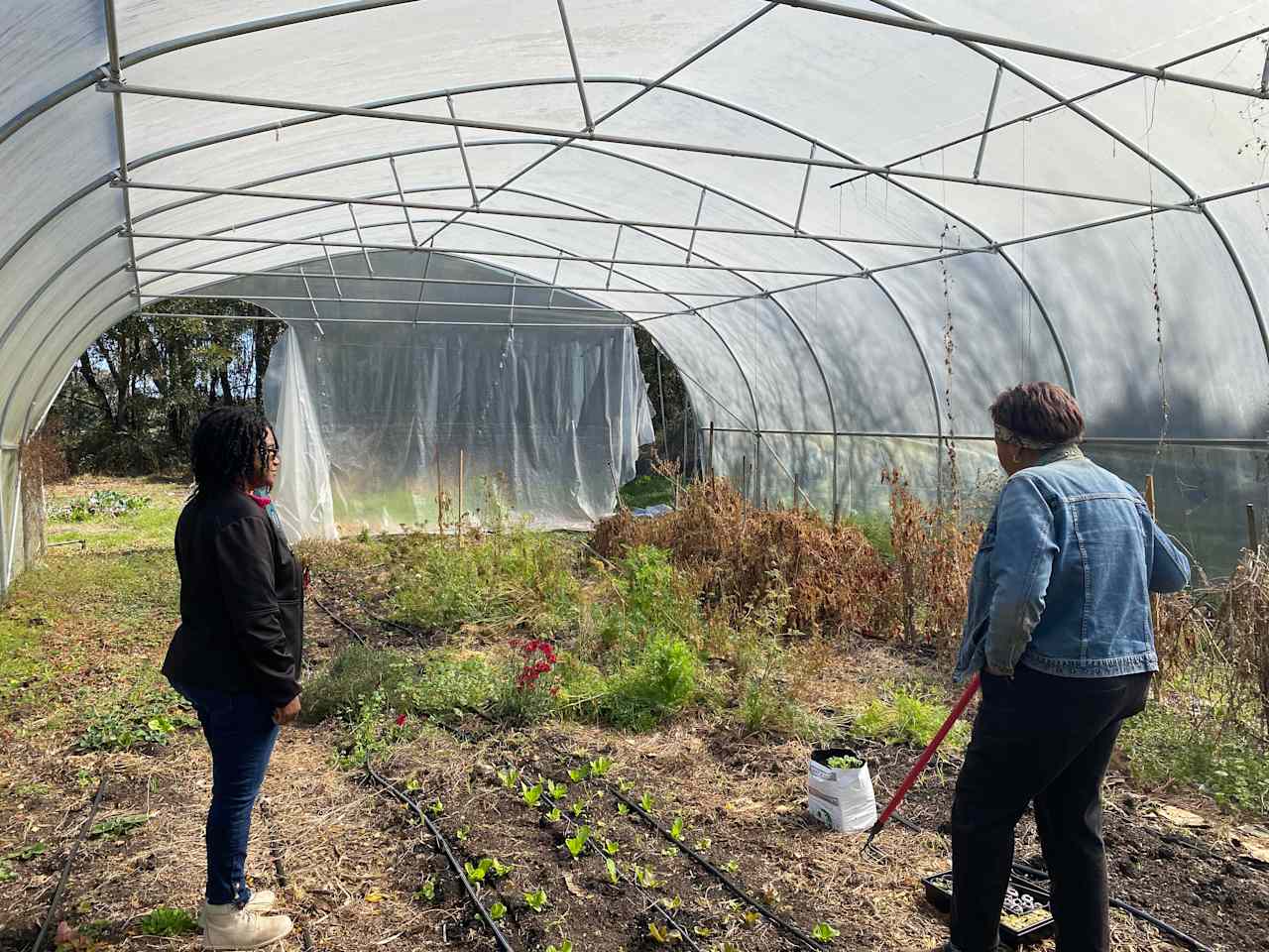 Learning about the farm during the tour.