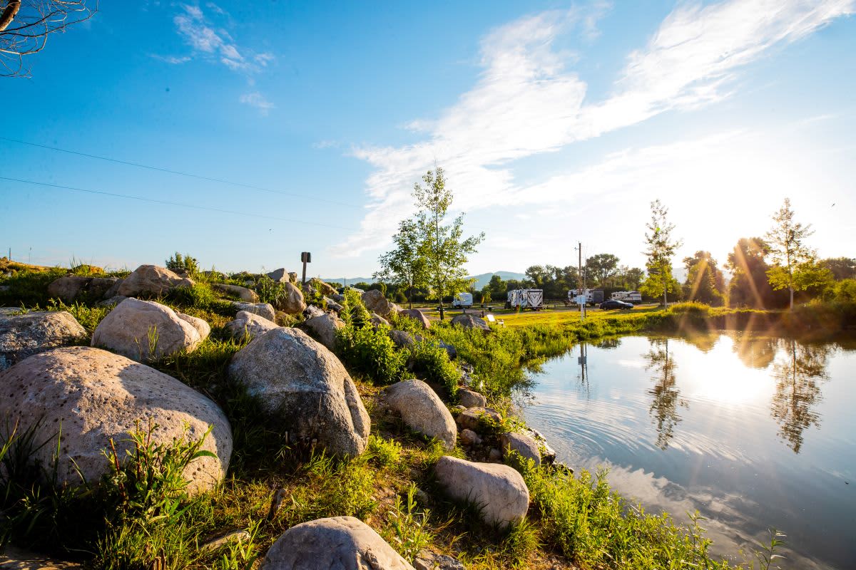 Stocked Fishing Pond