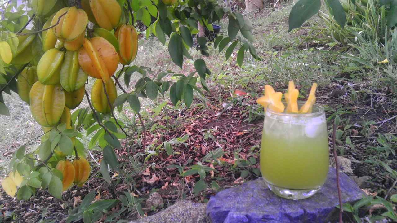 Suenos del Mar