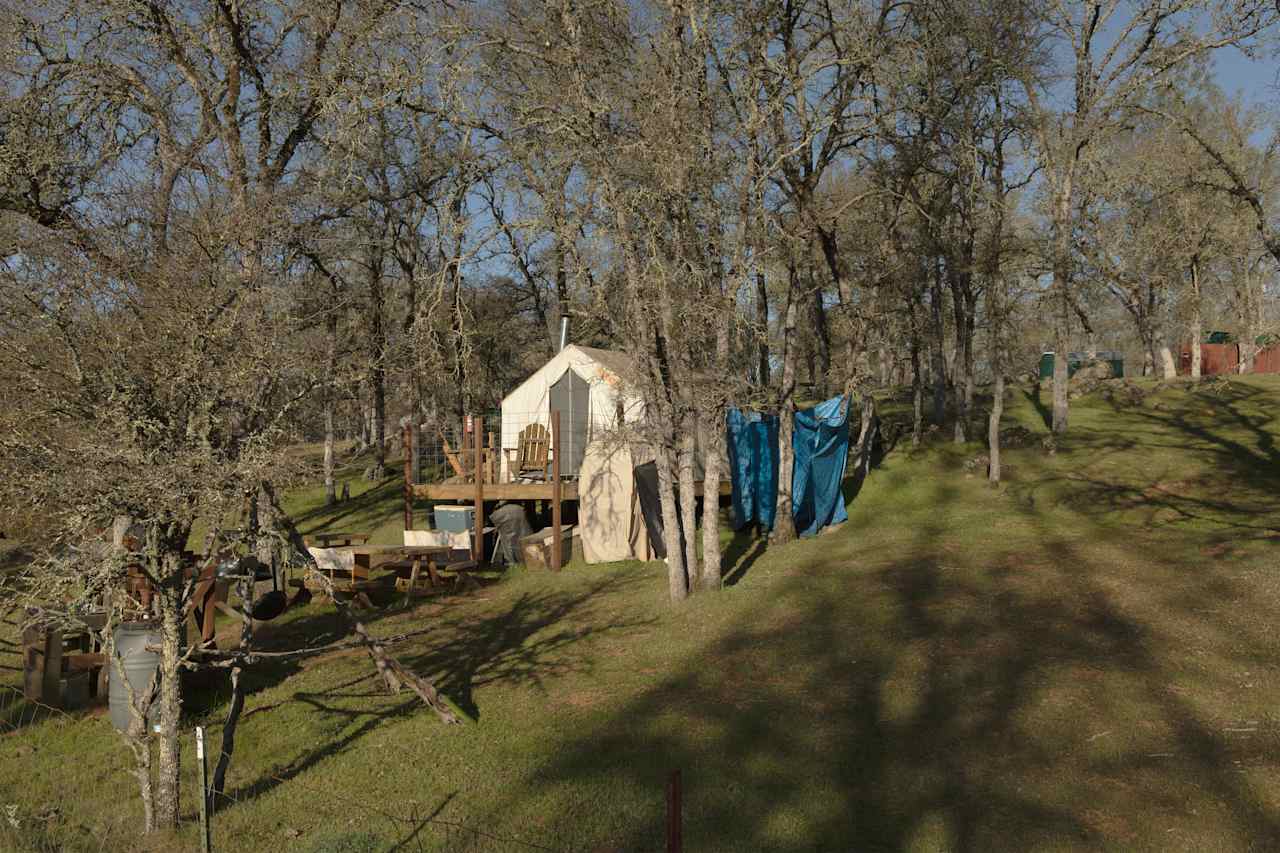 Lots of room at Trank Family Farm