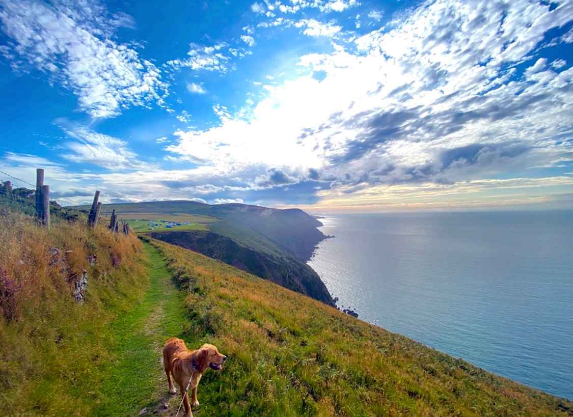 South Dean Camping