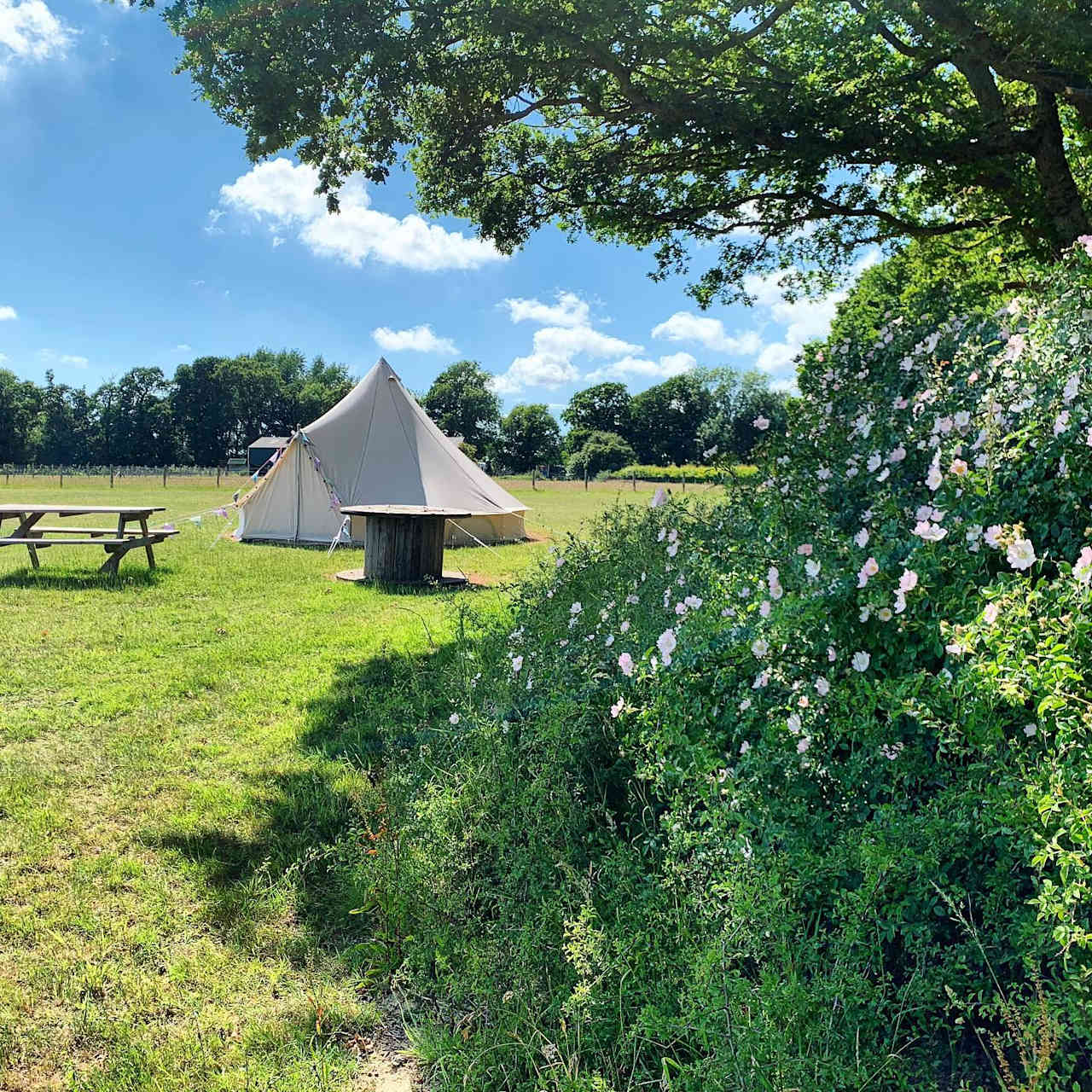Fontmills Farm Campsite