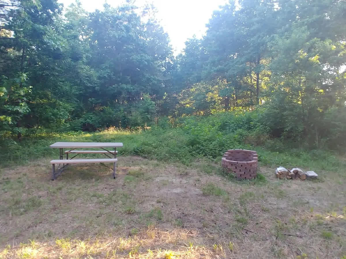 Forest Bathing Campsite
