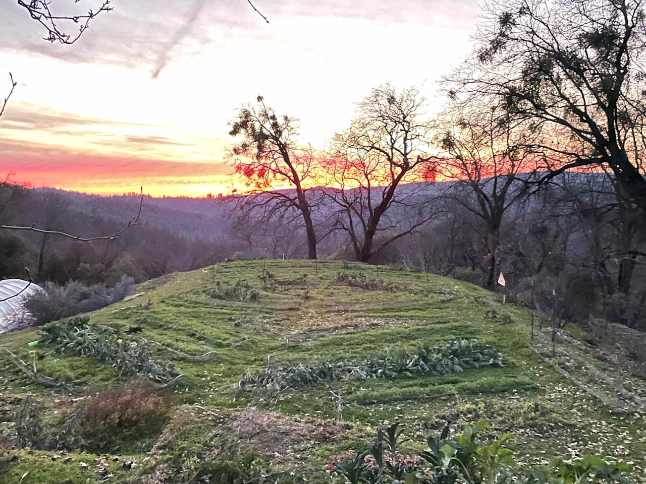 Beautiful sunrise and sunset, organic gardens and orchards all around and the amazing Yuba River just a wonderful walk to epic swim and relaxing spots..