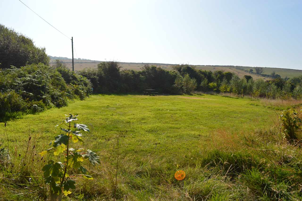 Preseli Glamping woodland camping