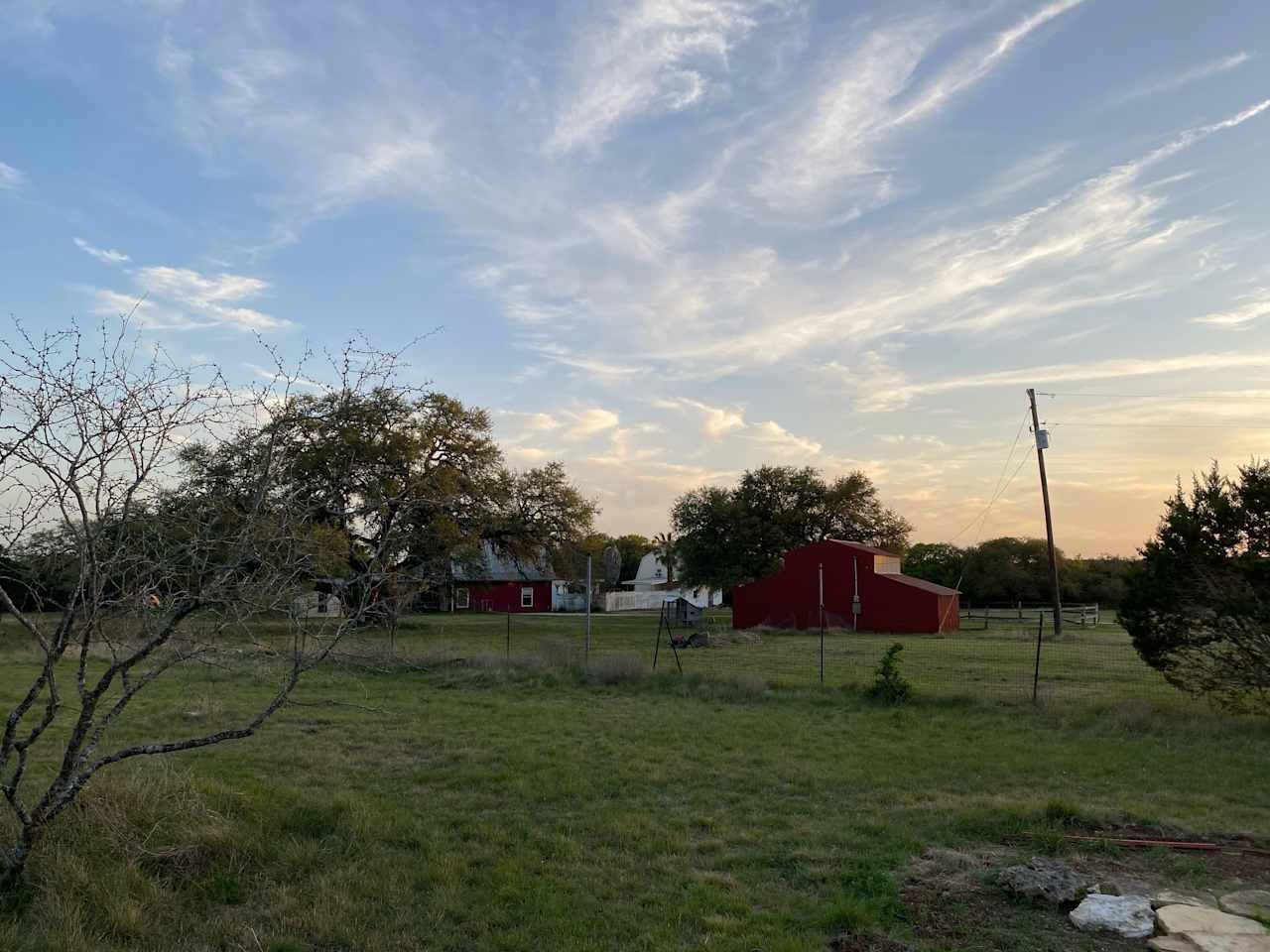 Twisted Oaks...