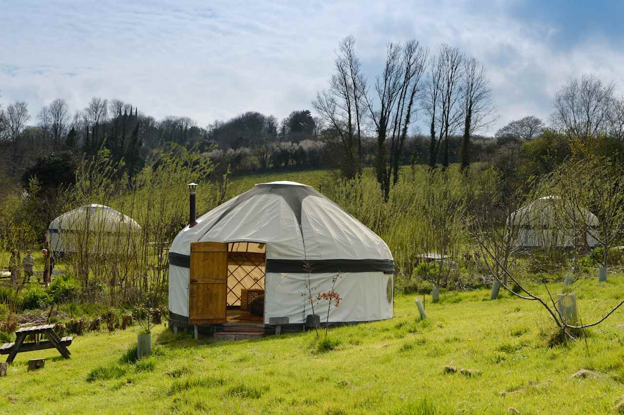 Gillyflower Yurt