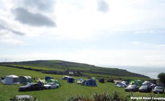 Camp field