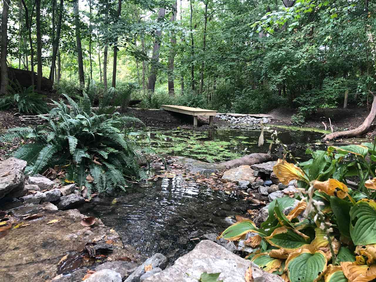 Koi pond with waterfall