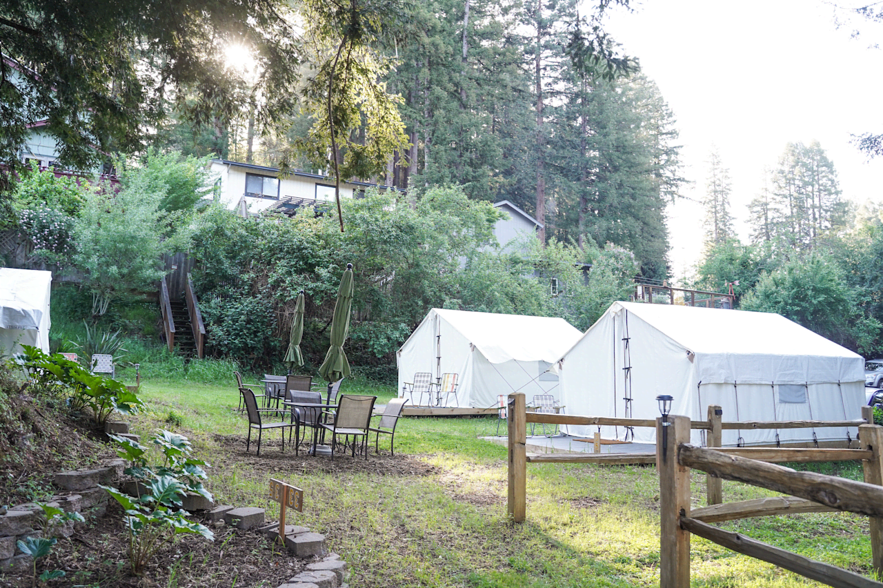 Yurt Camp