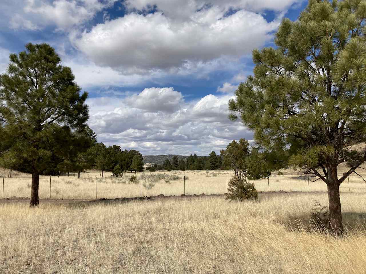 RV Site Option