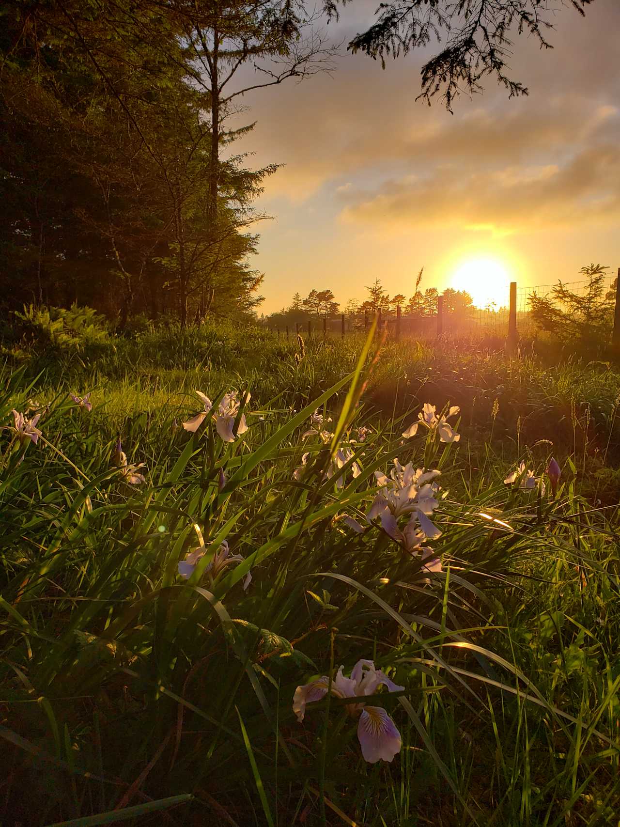 Sunset from the campsite