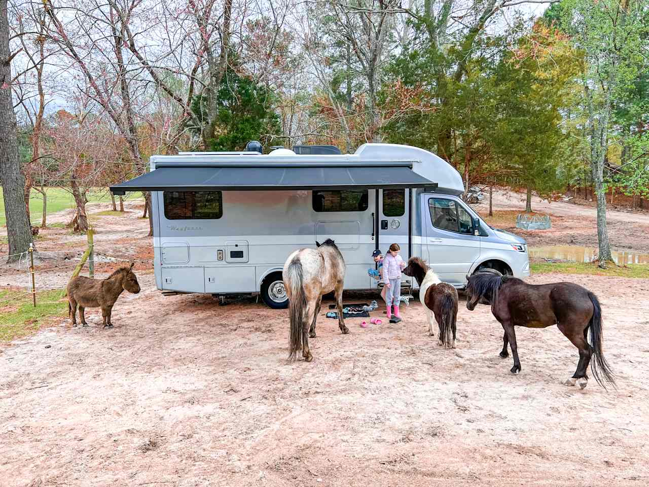 Silk Purse Farm