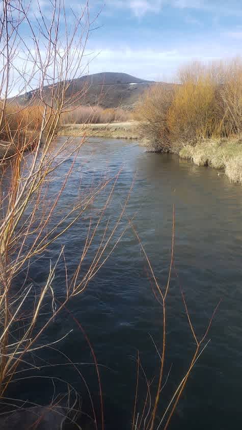 Mtn City Fishing Hunting camping
