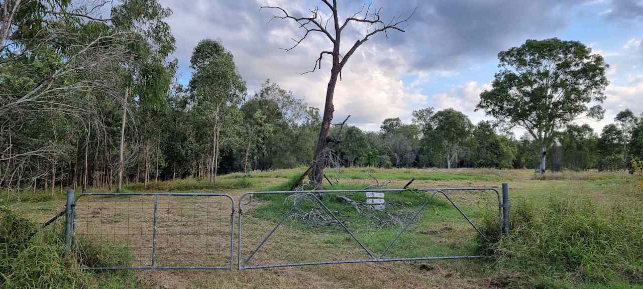 Billy goat plains