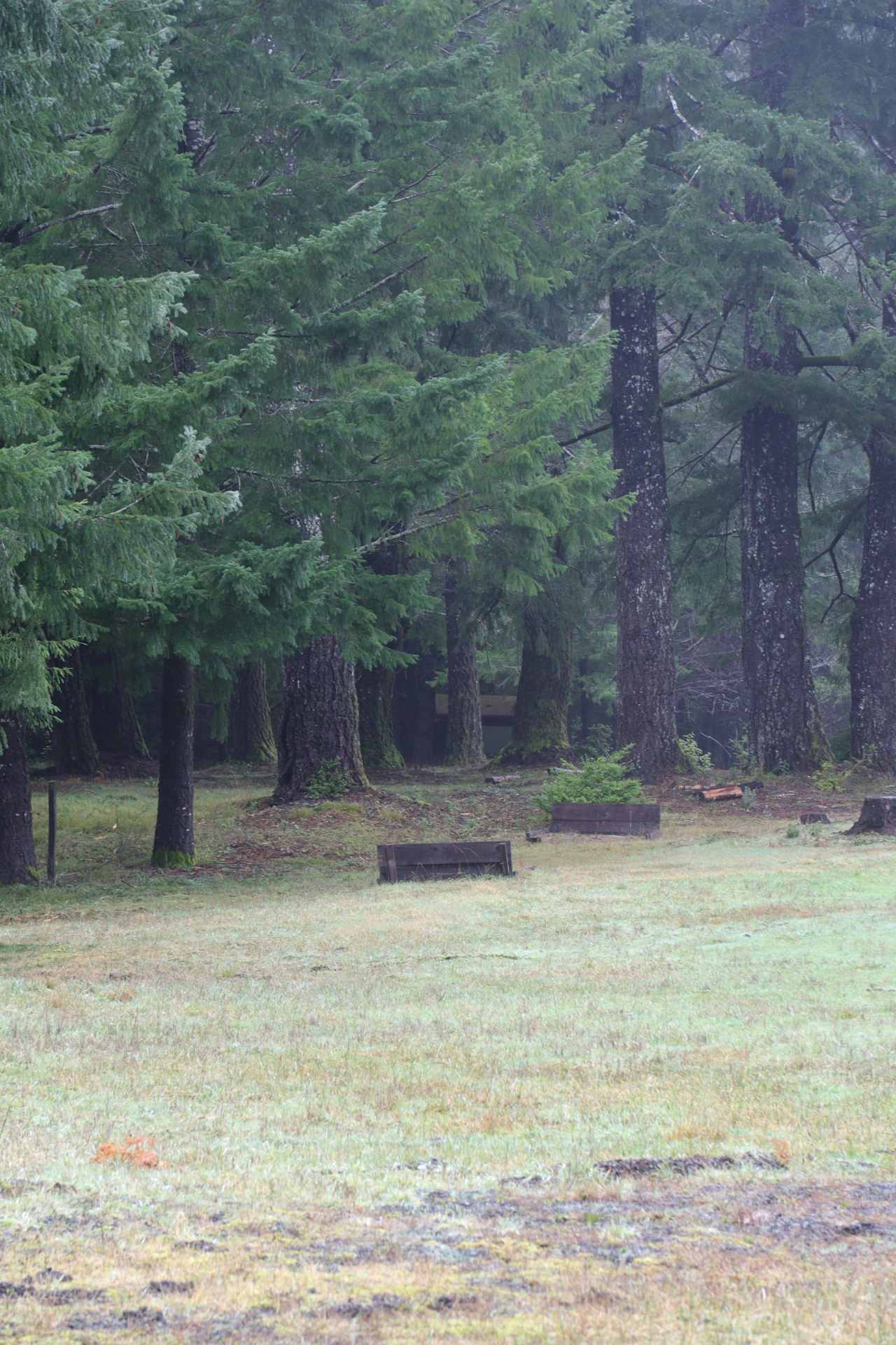 Chemise Mountain Retreat
