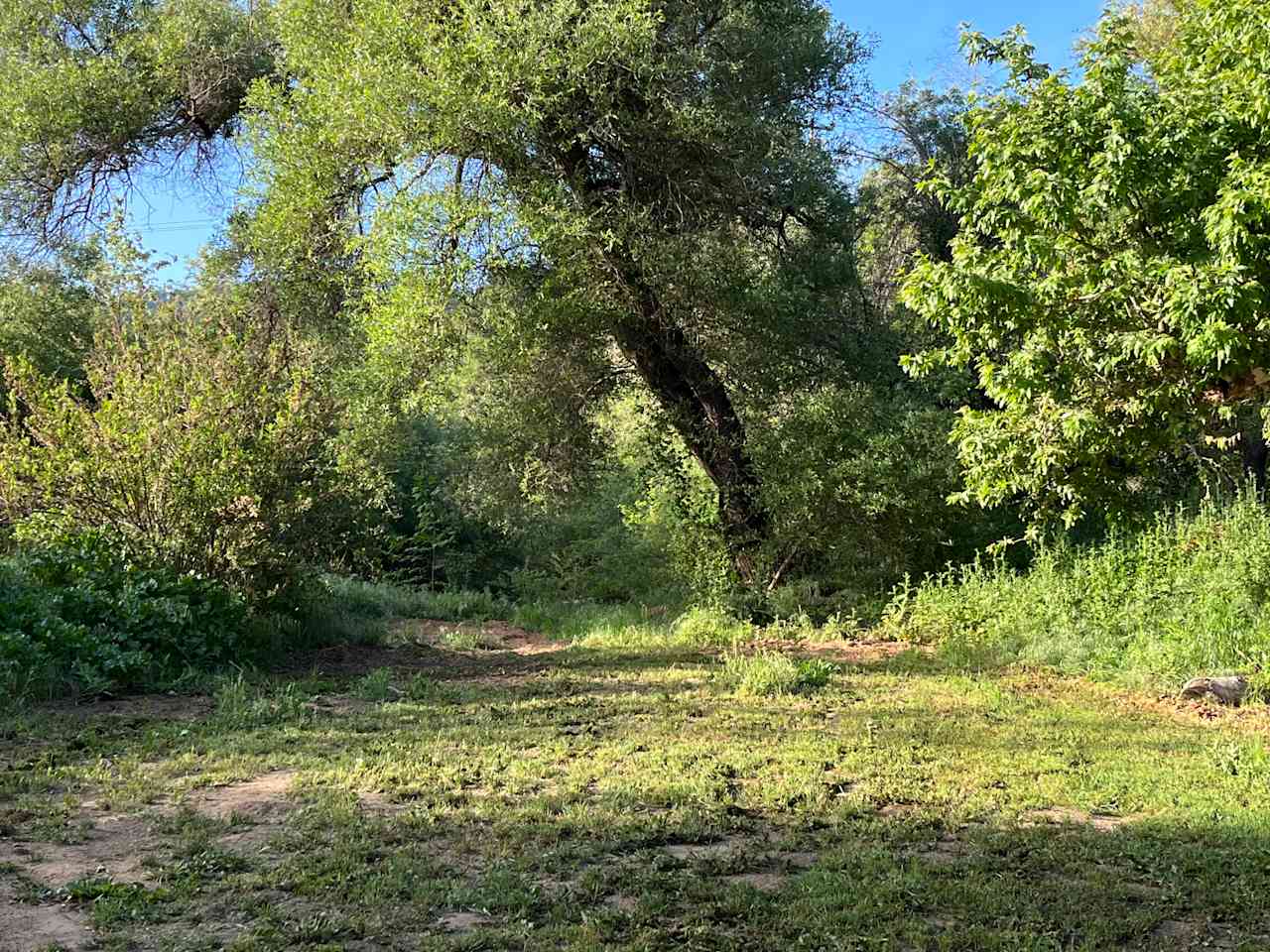 Arnaz site, has been mowed 