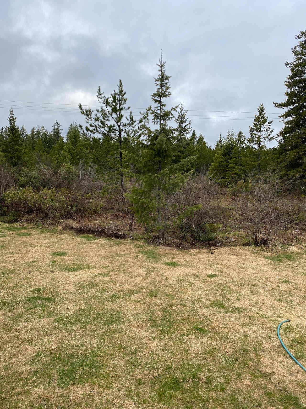 Rebecca R.’s Land