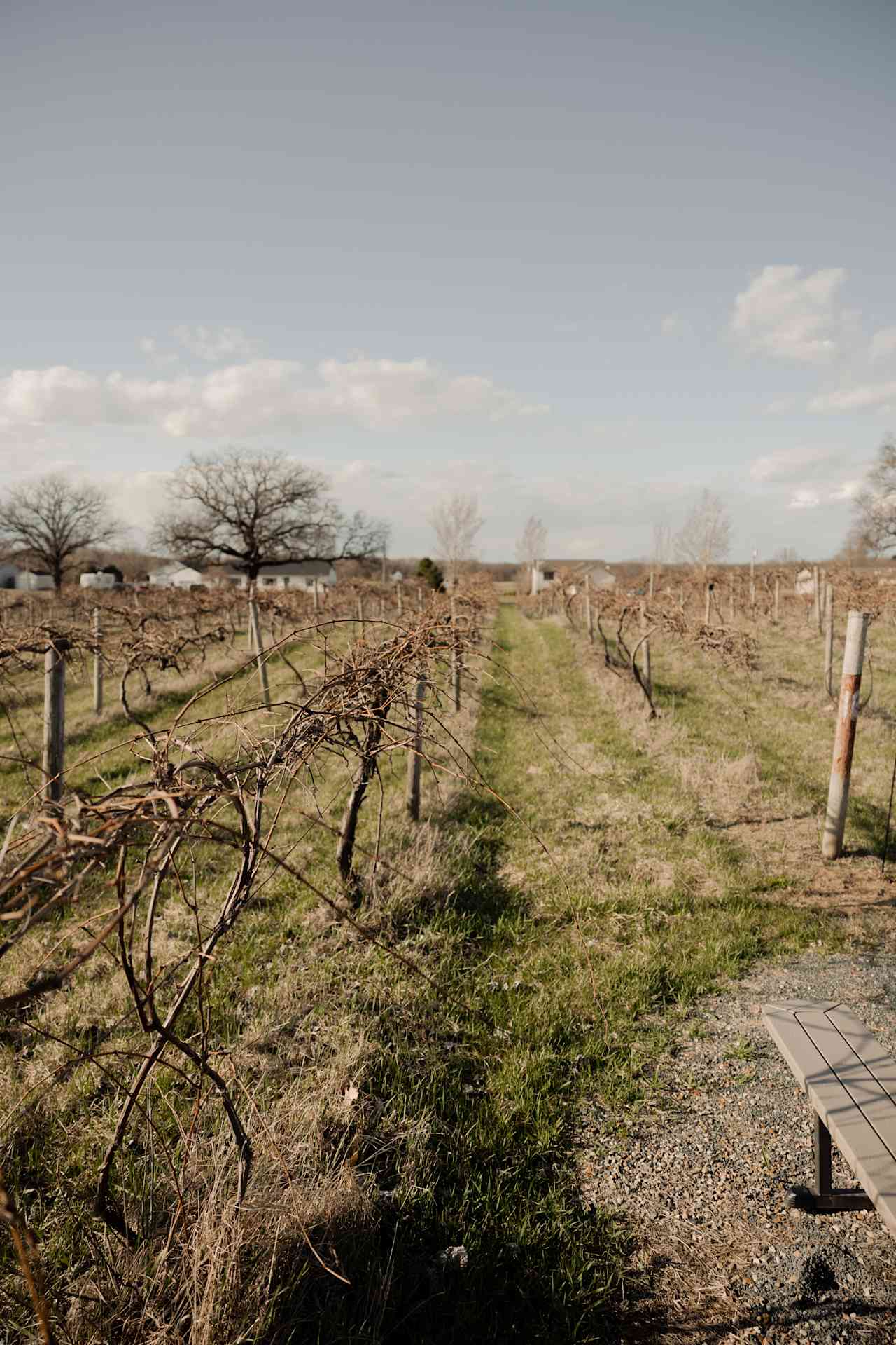 Hunt’s Hillside Vineyards