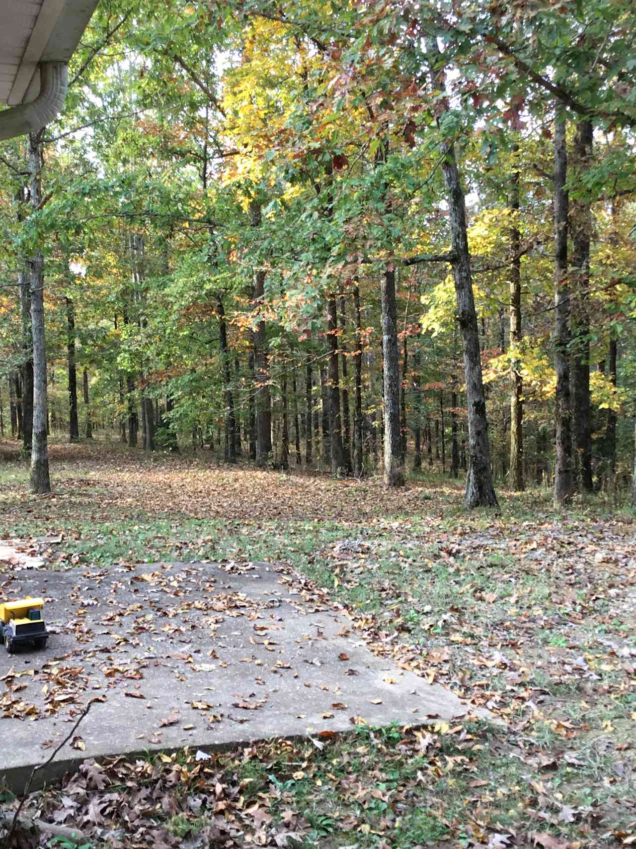 Reed Creek Campsites