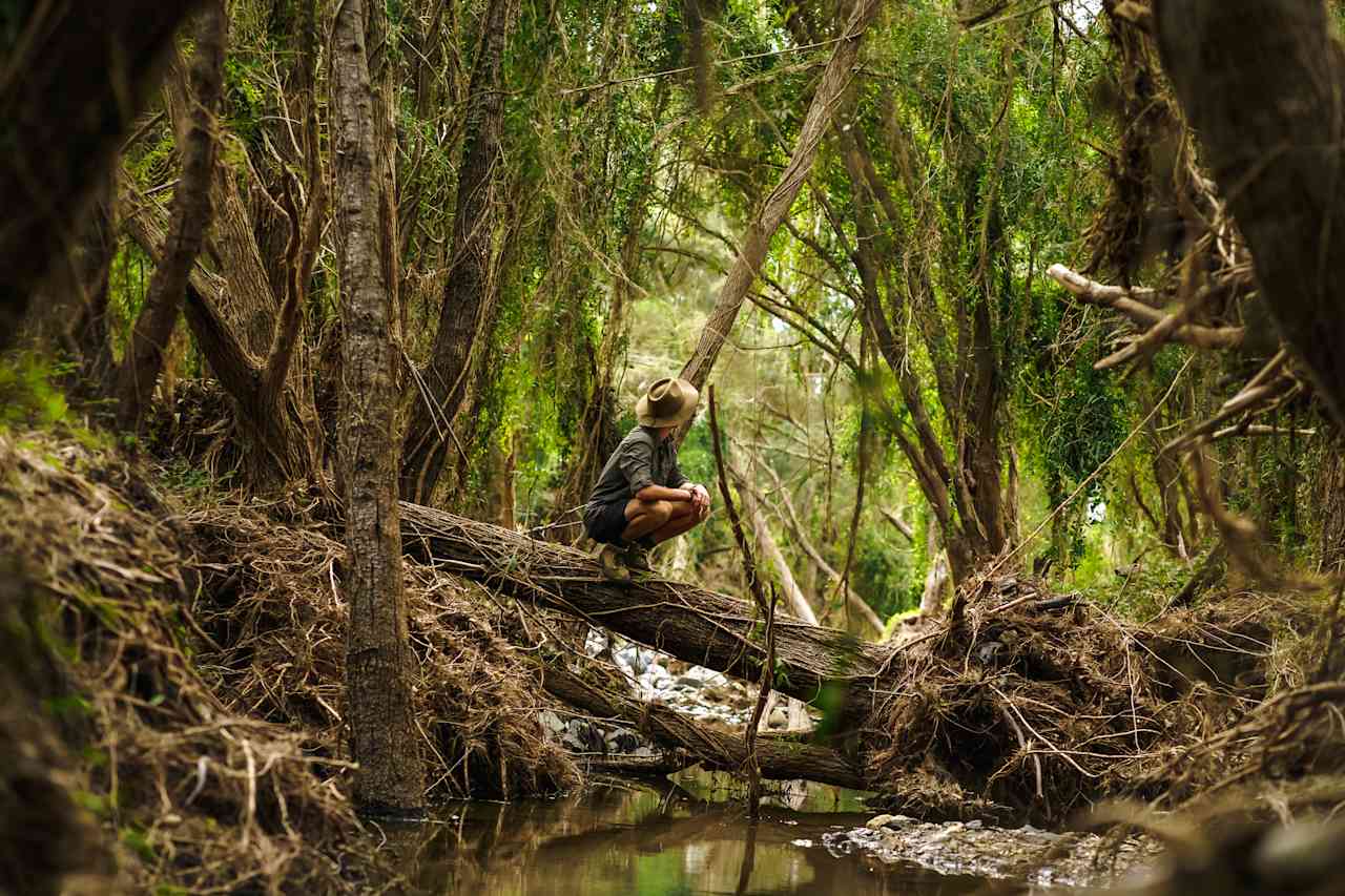 My favourite spot on the property. A beautiful little grove by the banks of the creek/river! 
Instagram: @jarodimaged