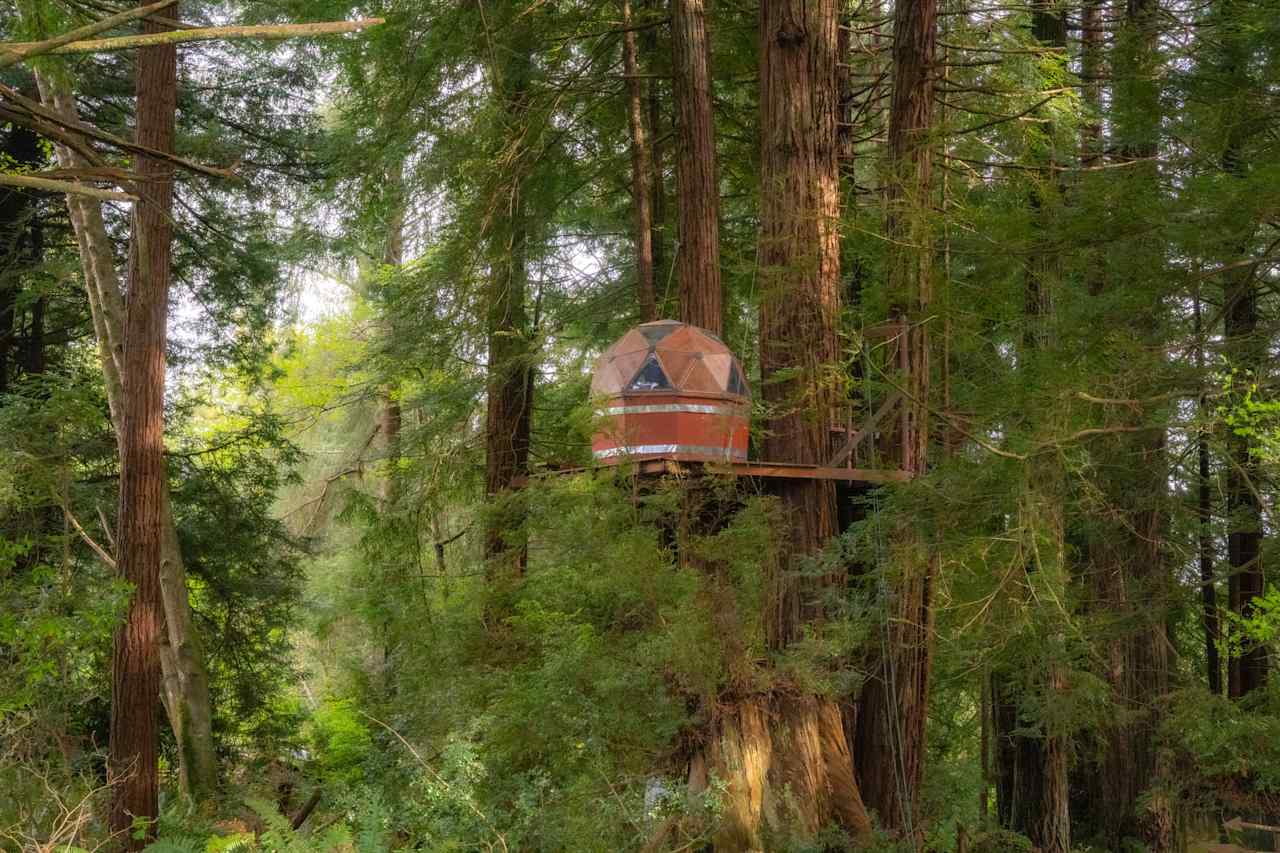 Beautifully perched high in the redwoods, this is the view on the way in.