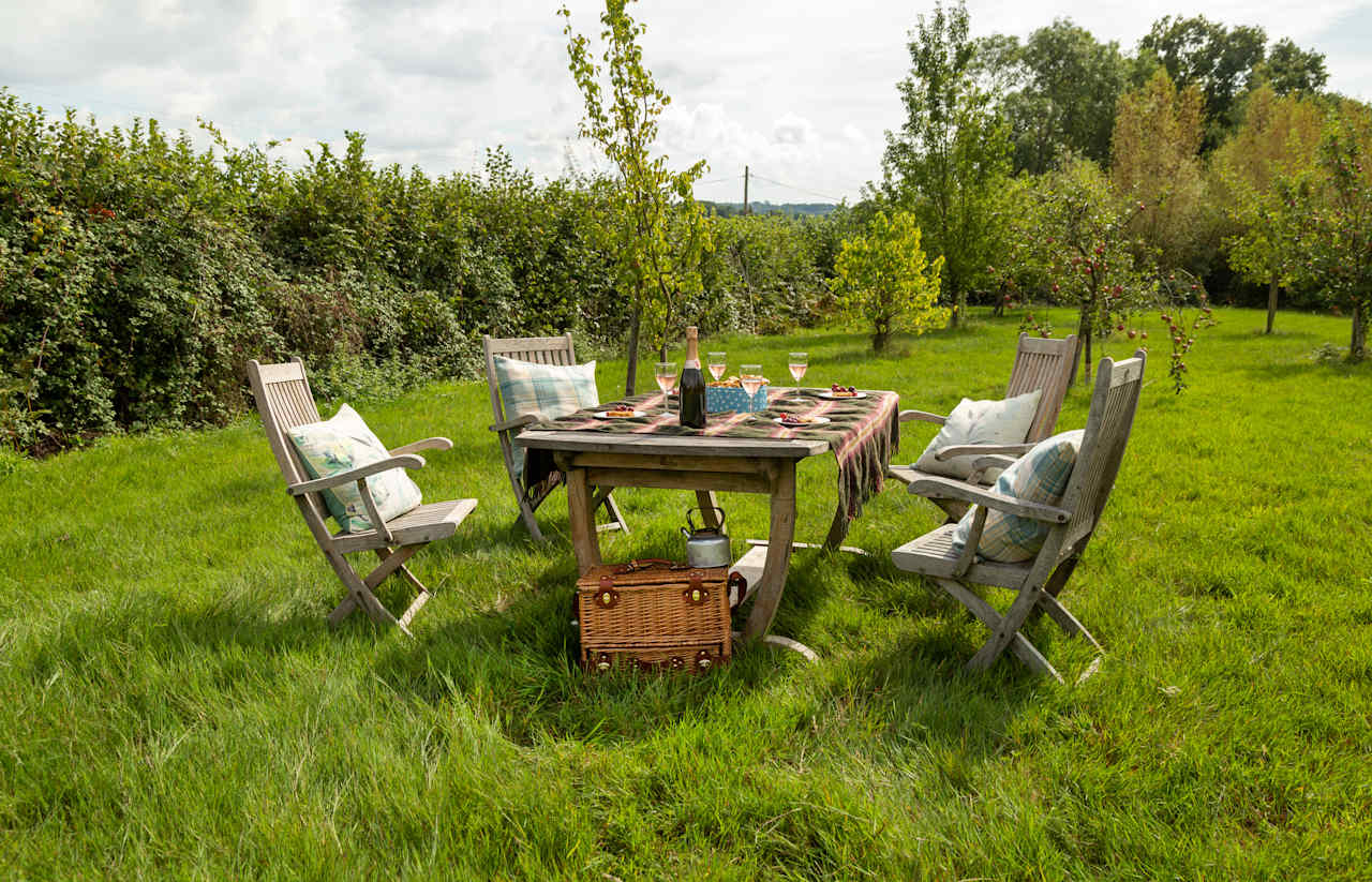 Downsview Vineyard