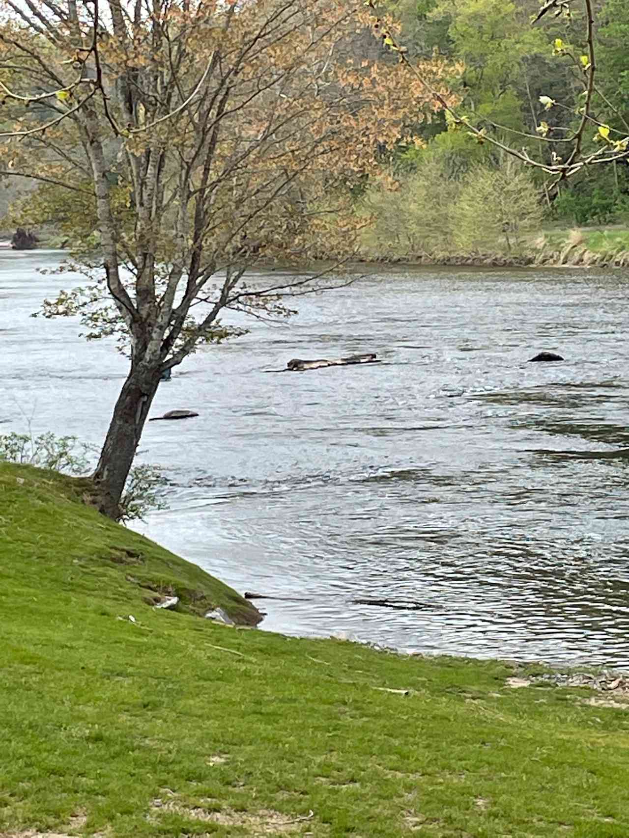 Zaloo's New River Outpost